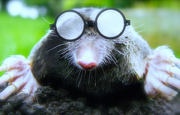 Facteurs structurels négligés – 1.&nbsp;Qualifications