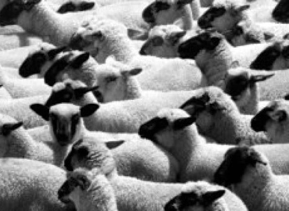 Le plafond de verre et autres fables – 5. La parité, esquisse&nbsp;d&rsquo;utopie